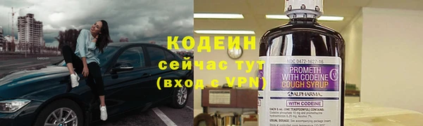 кокс Арсеньев