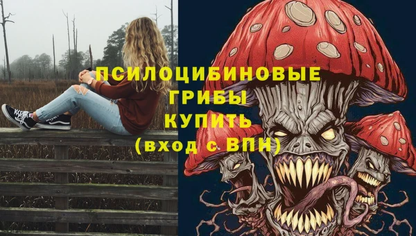 кокс Арсеньев