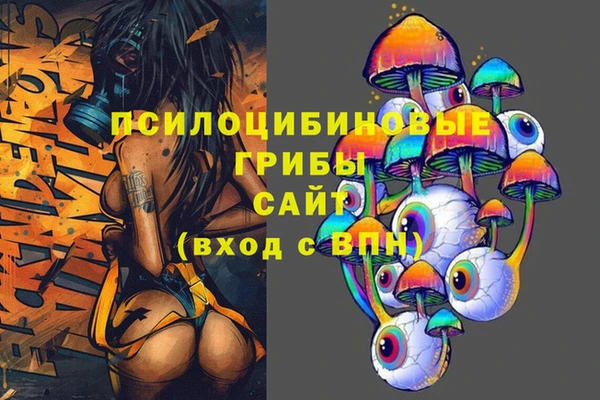 кокс Арсеньев